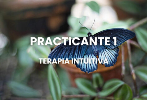 PRACTICANTE 1 TERAPIA INTUITIVA